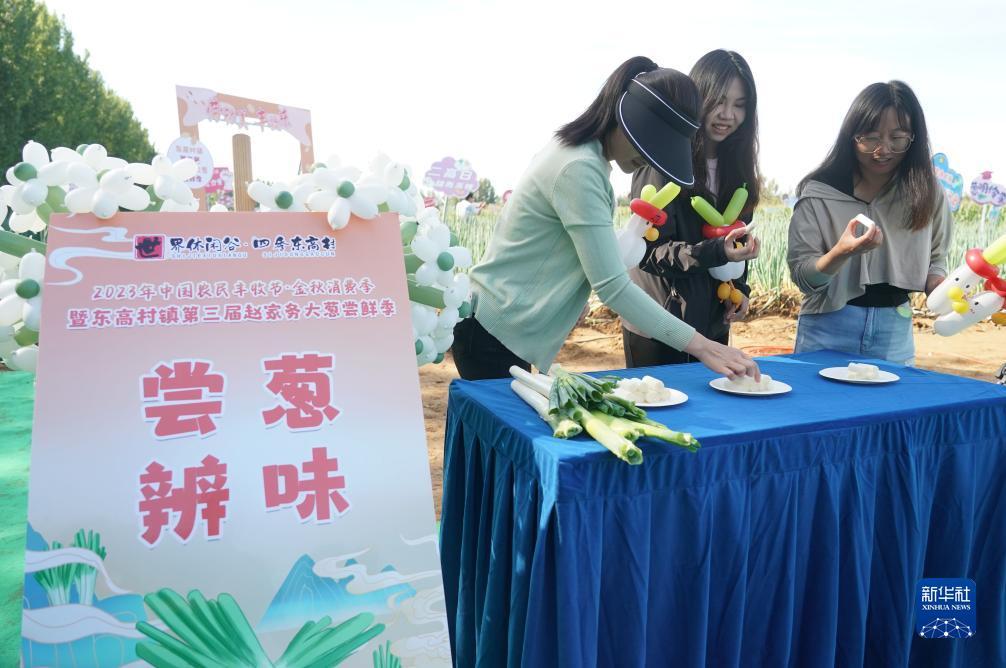 奥迪棋牌官方网站